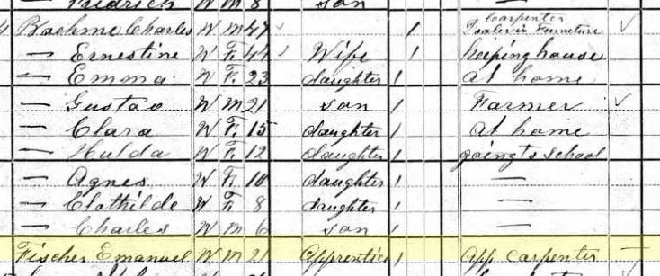 Emmanuel David Fischer 1880 census Altenburg MO