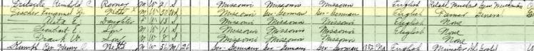 Emmanuel David Fischer 1910 census Altenburg MO