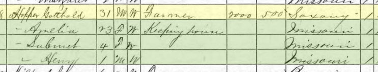 Gotthold Hopfer 1870 census Brazeau Township MO