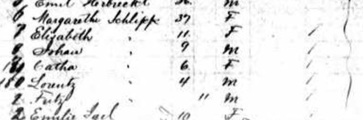 Schlipp family passenger list NY W A Scholten 1882