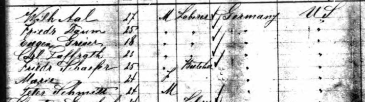 Carl Paffrath passenger list Vaderland 1882
