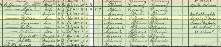 William F H Hoffmann 1900 census St. Louis MO