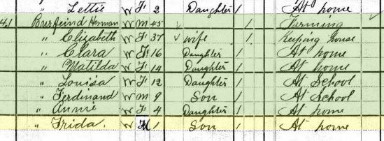 Frieda Burfeind 1880 census Brazeau Township MO