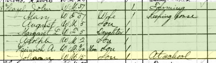 John Heeszel 1880 census Fountain Bluff Township MO