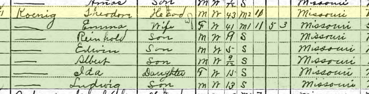 Theodore Koenig 1910 census Salem Township MO