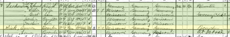 Anna Siek 1900 census St. Louis MO