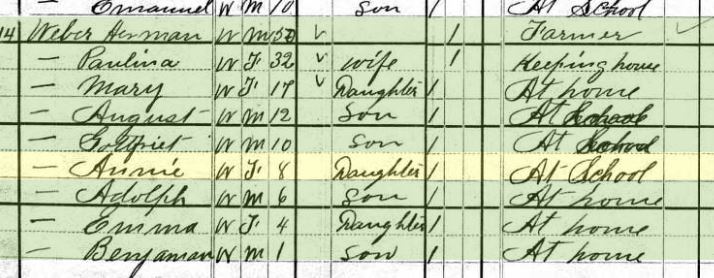 Anna Weber 1880 census Brazeau Township MO