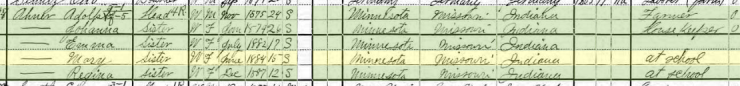 Mary Ahner 1900 census St. Louis MO