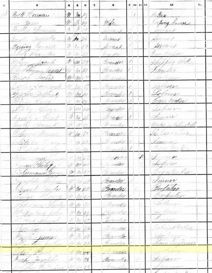 Paul Estel 1880 census St. Louis MO