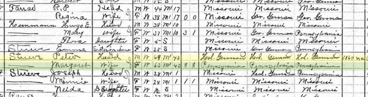 Peter Stueve 1910 census Salem Township MO