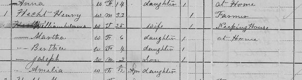 Henry Hecht 1880 census Union Township MO