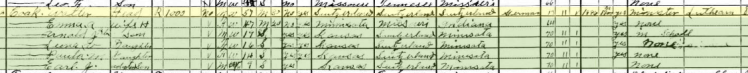 Walter Cook 1930 census Union Township Webster County MO
