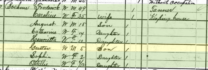 Gustav Boehme 1880 census Salem Township MO