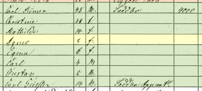 Agnes Roemer 1860 census St. Louis MO