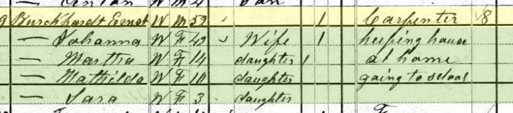 Ernst Burkhardt 1880 census Brazeau Township MO