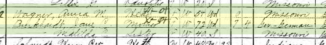 Jane Burkhardt 1910 census Brazeau Township MO