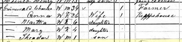 Mary Gruenwald 1880 census Brazeau Township MO