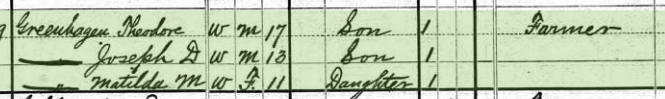 Henry Gruenhagen 1880 census 2 South River Marion County MO