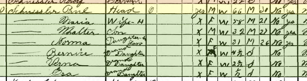Paul Schuessler 1930 census Shawnee Township MO