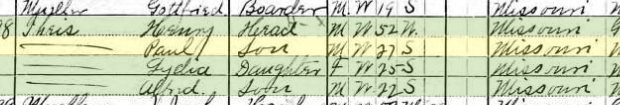 Paul Theiss 1910 census Brazeau Township MO