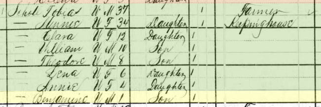 Benjamin Scholl 1880 census Shawnee Township MO