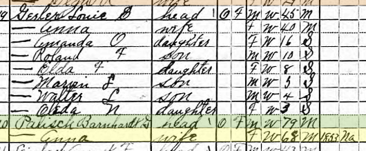 Bernhardt Palisch 1920 census Brazeau Township MO