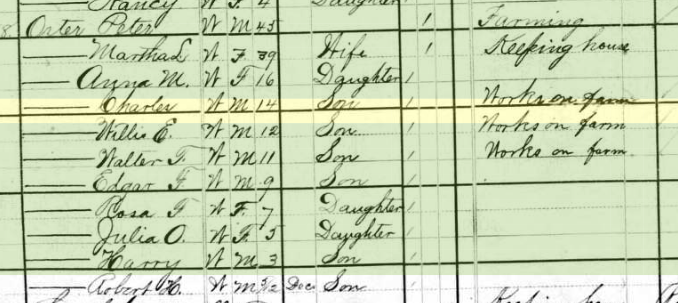 Willis Oster 1880 census Whitewater Township Bollinger Township MO