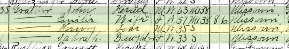 Henry Grother 1910 census Brazeau Township MO