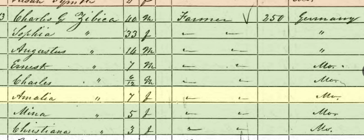 Amalia Zeibig 1850 census Brazeau Township MO