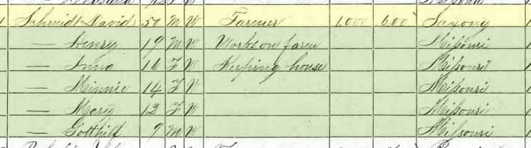 David F. Schmidt 1870 census Brazeau Township MO