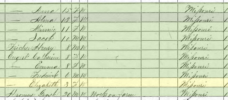 Elisabeth Engert 1870 census Brazeau Township MO