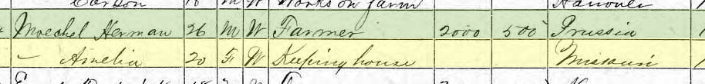 Herman Moeckel 1870 census Brazeau Township MO