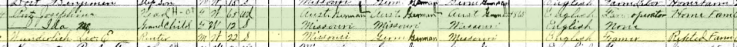 Leo Wunderlich 1910 census Shawnee Township MO
