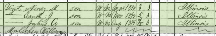 Martin Vogt 1900 census 2 Fountain Bluff Township IL