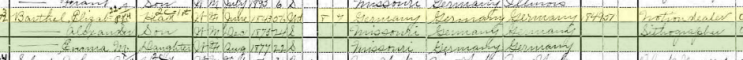 Elizabeth Barthel 1900 census St. Louis MO
