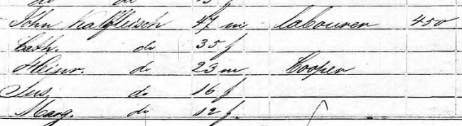Elizabeth Kalbfleisch 1850 census 1 St. Louis MO
