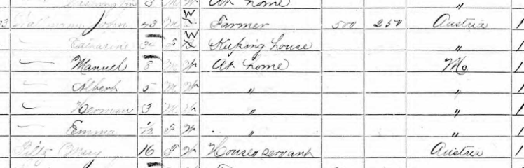 Emmanuel Wallmann 1870 census Shawnee Township MO