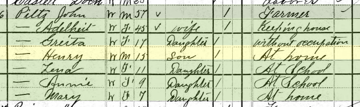 Henry Pilz 1880 census Brazeau Township MO