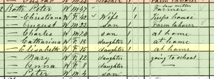 Maria Roth 1880 census Brazeau Township MO