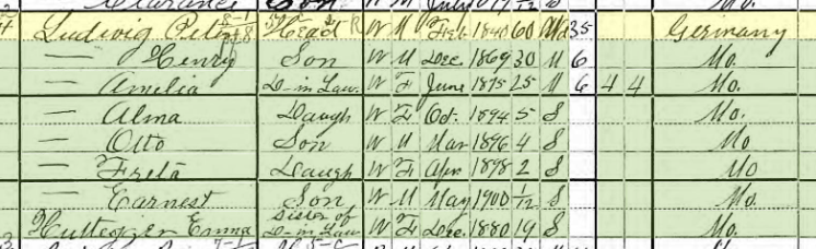 Peter Ludwig 1900 census Apple Creek Township MO