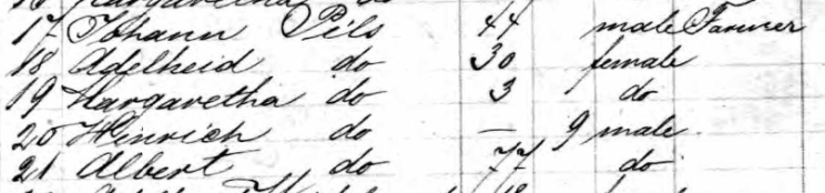 Pilz names - Carl passenger list 1866