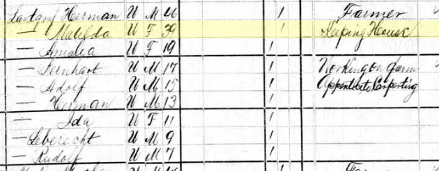 Amalia Landgraf 1880 census Shawnee Township MO