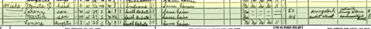 Augusta Wiehe 1940 census 1 St. Louis MO