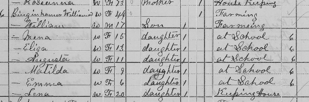 Emily Bingenheimer 1880 census Union Township MO