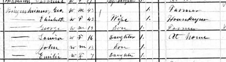 George Bingenheimer 1880 census Apple Creek Township MO