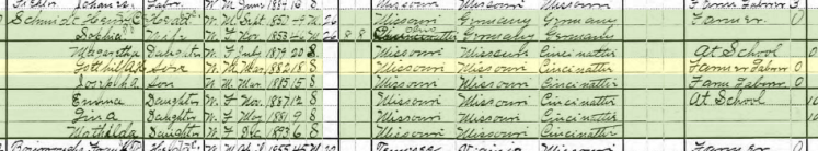 Gotthilf Schmidt 1900 census Brazeau Township MO