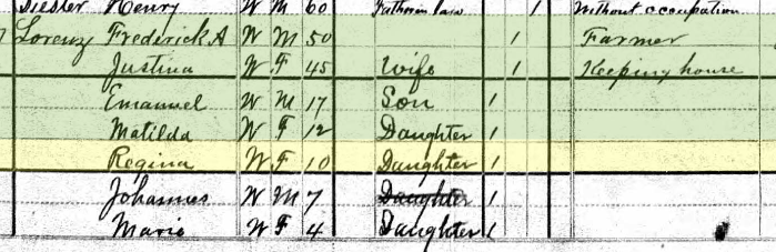 Regenia Lorenz 1880 census Brazeau Township MO
