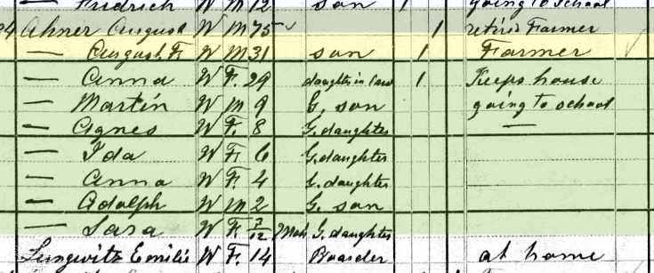 Sarah Ahner 1880 census Brazeau Township MO