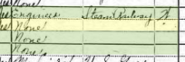 Albert Schlessinger 1920 census 2 St. Louis MO