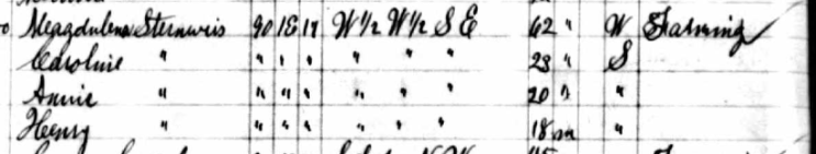 Henry Sternweis 1885 Iowa state census Jefferson Township IA
